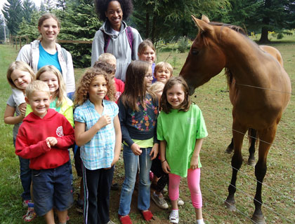 A friendly horse greeted campers on their way to visit a local 
